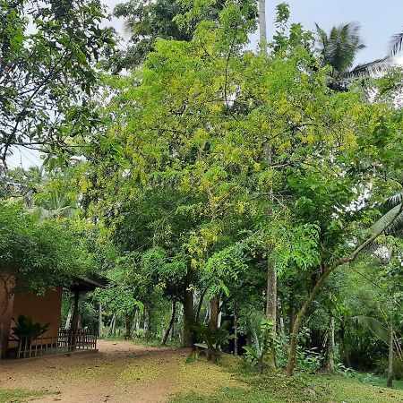 Nature'S Hideout Holiday Home Mirigama Екстериор снимка