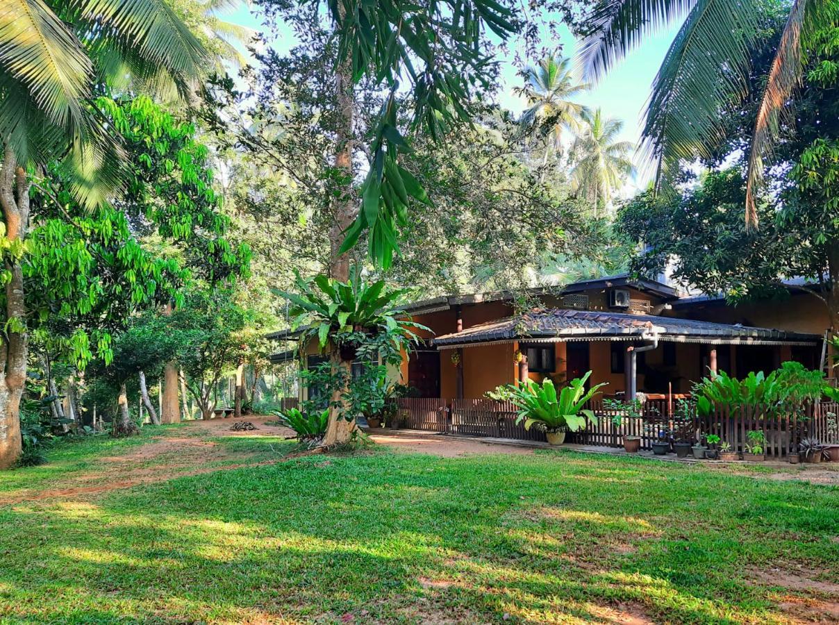 Nature'S Hideout Holiday Home Mirigama Екстериор снимка
