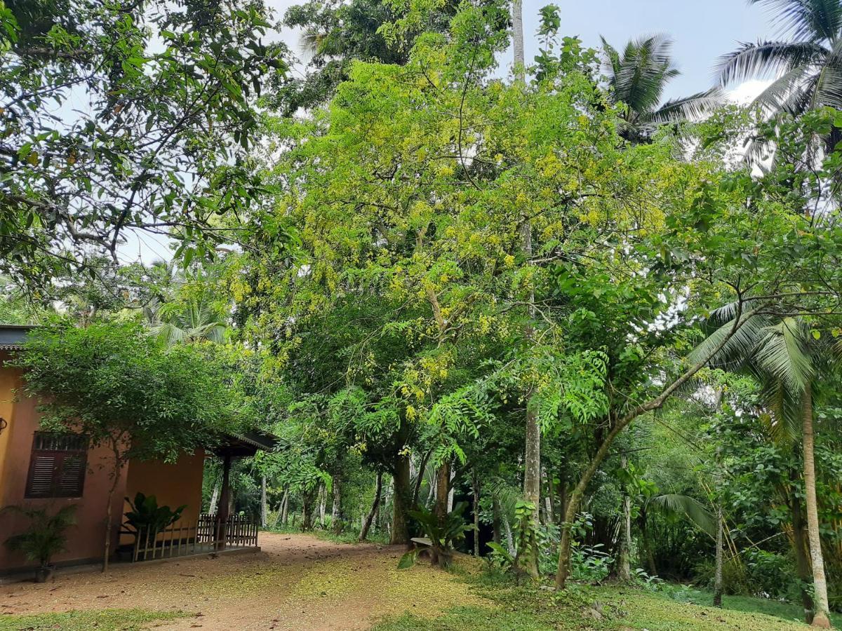 Nature'S Hideout Holiday Home Mirigama Екстериор снимка