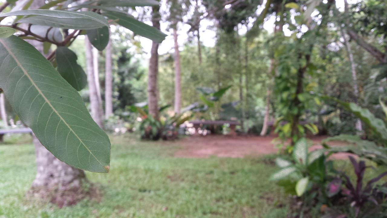 Nature'S Hideout Holiday Home Mirigama Екстериор снимка
